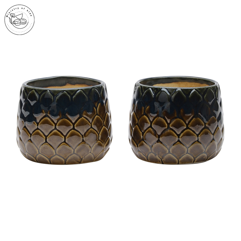 4_5aaf4aec-d2e7-430f-a64b-be625dd7b471-4x