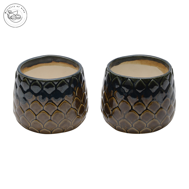 5_2bd07339-1c9a-47d3-8b9d-1b089181d0a8-4x